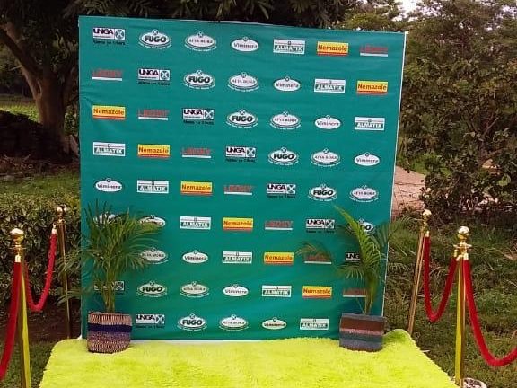 A sponsor media wall on a lawn with a red rope and carpet