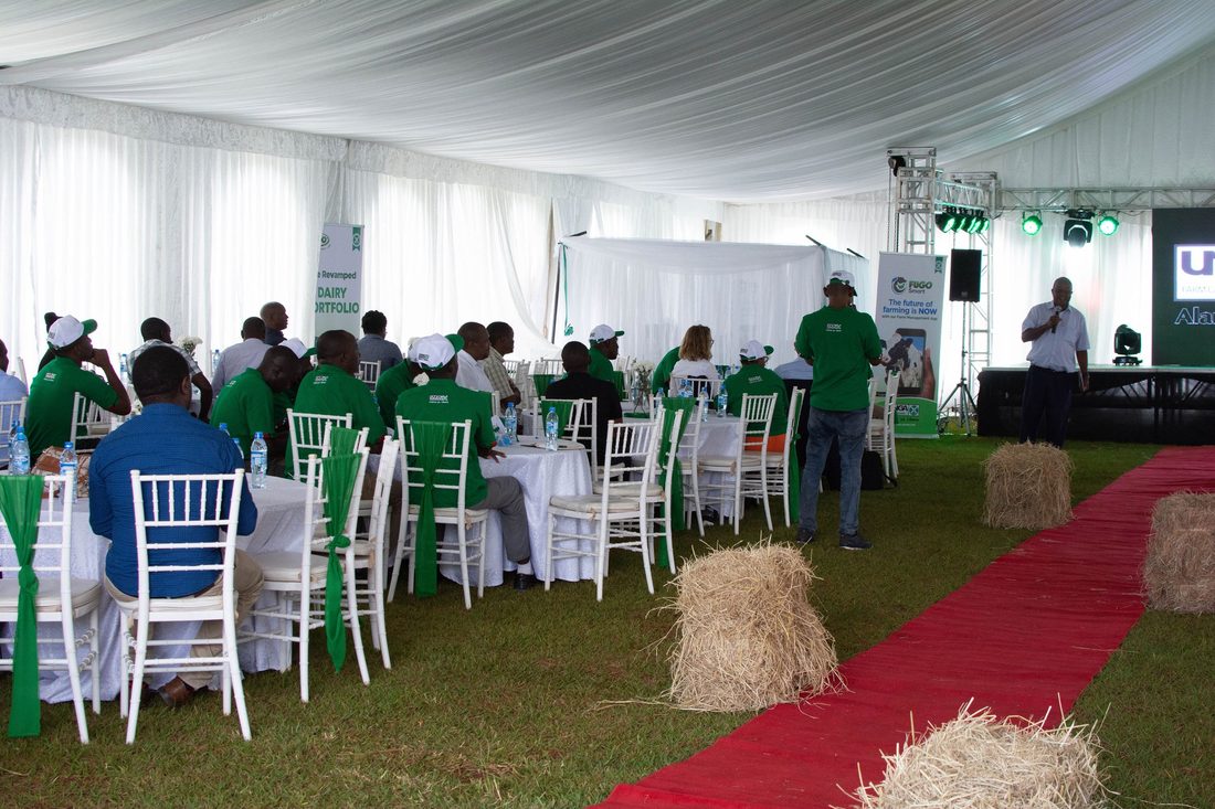 Delegates seated at dressed rounds inside a marquee with a red carpet run between the tables