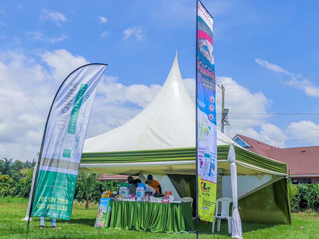 A product table dressed under a branded gazebo on a lawn with feather flags either side